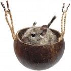 �쥤��ܡ� �����ʥåĥݥå�/�ϥ��� ���� ����� ͷ�Ӿ� �ե������� �ǥ��� ���ޥꥹ Rainbow