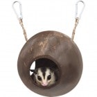 �쥤��ܡ� ����饳���ʥå�/�ϥ��� ���� ����� ͷ�Ӿ� �ե������� �ǥ��� ��Ļ ���� Rainbow