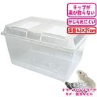 ���饱����(Ķ����) ��50cm/�ץ饱���� ������ Ʃ�� ���ꥢ �����ѡ����� ��ưʪ �ϥॹ���� ����󥬥ꥢ�� ���� ����