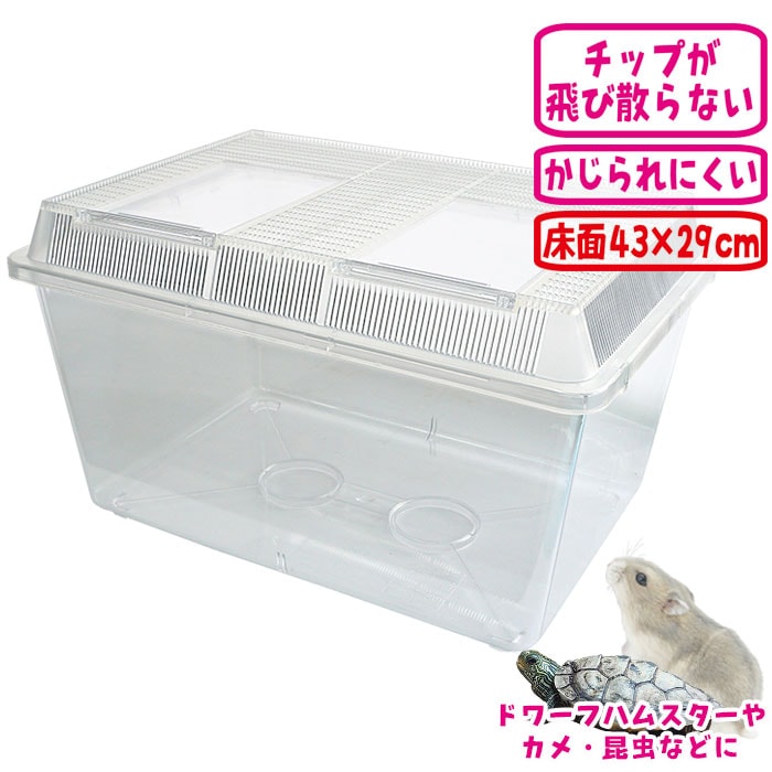 飼育ケース(超特大) 幅50cm/プラケース ケージ 透明 クリア スーパー