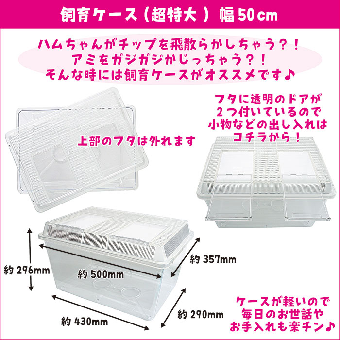 ハムスター飼育セット fish-y_set20241112-62