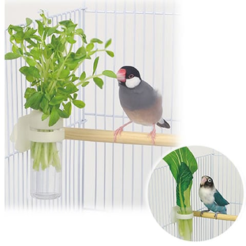 ��Ļ�Υ٥����֥�ݥå�/��Ļ�Ѻڤ��� �ں��� ʸĻ ������������ ������ ���� ���󥳡� ���� SANKO