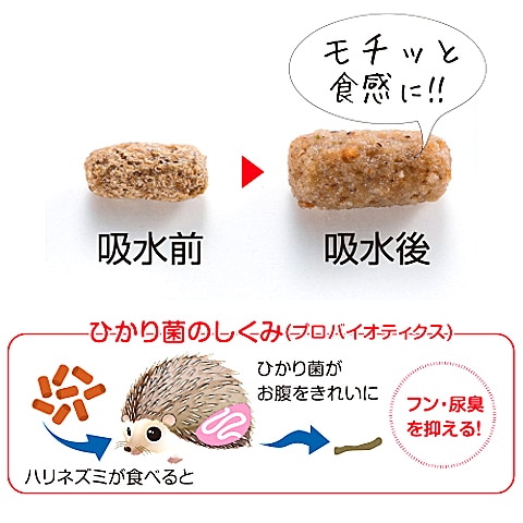 29周年セール中】ひかり ハリネズ300g/ハリネズミ用食虫動物の完全栄養