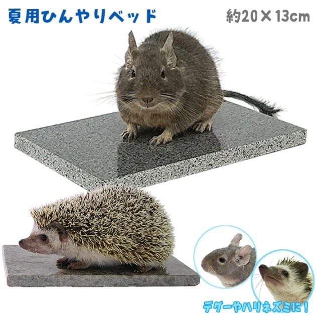 ���ȡ���٥å� HD/ŷ���� �Ҥ��� ������ �� �ô� �䤨�� �ä���