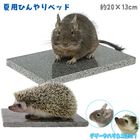 ���ȡ���٥å� HD/ŷ���� �Ҥ��� ������ �� �ô� �䤨�� �ä���