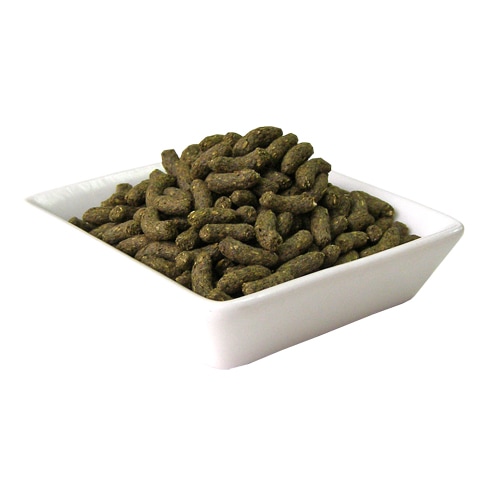 デグープレミアムフード シンバイオティクスブレンド 500g/エサ