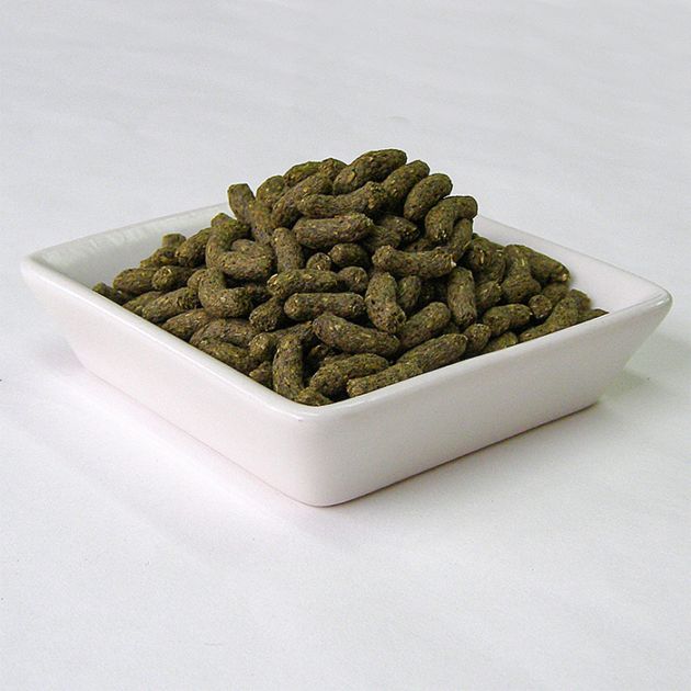 デグープレミアムフード シンバイオティクスブレンド 500g/エサ
