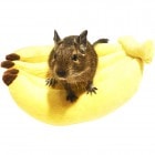 쥤ܡ ߥ˥˥ޥХʥʤΥ٥å/ å ǥ å Rainbow 쥤ܡ