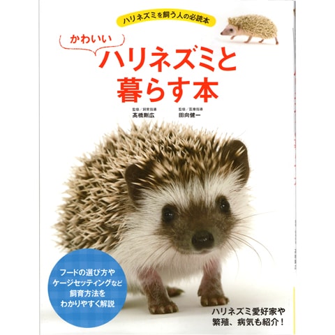 ハリネズミ飼育セット　りんご 楽天市場】初めてのハリネズミ飼育セット 関東当日便 : charm