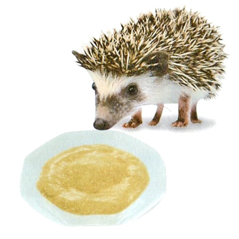 モモンガハウス(ハリネズミ・マグ)  ボアピンク 2050円 CASA ハリネズミ・モモンガのチキンピューレ チーズ/おやつ 副食 エサ