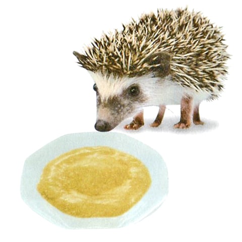 CASA ハリネズミ・モモンガのチキンピューレ アップル＆マンゴー