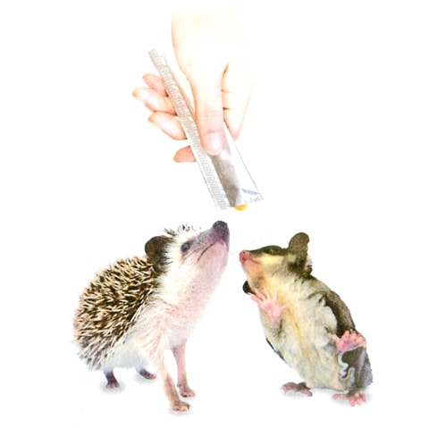 CASA ハリネズミ・モモンガのチキンピューレ アップル＆マンゴー