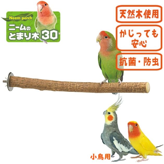 ニームのとまり木30/止まり木 とまり木 小鳥 サンコー SANKO 三晃商会