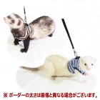 �쥤��ܡ� ferret �����ϡ��ͥ� �ܡ�����/�ե���å� ������ �꡼�� ���ȥ饤�� ƹ�� Rainbow