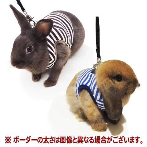 レインボー rabbit ランランハーネス ボーダー/うさぎ ウサギ ラビット