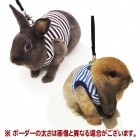 쥤ܡ rabbit ϡͥ ܡ/  ӥå  ꡼ ȥ饤 ƹ Rainbow