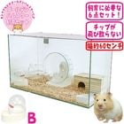 600�ϥॹ����HIGH ������ǥ�ϥॹ�������饻�å�II��B���ɡ��ॵ���С��ۡڰ��٤Τ���ʸ��1�Ĥޤǡ�/������ ������ ���饱���� ���󥯥�