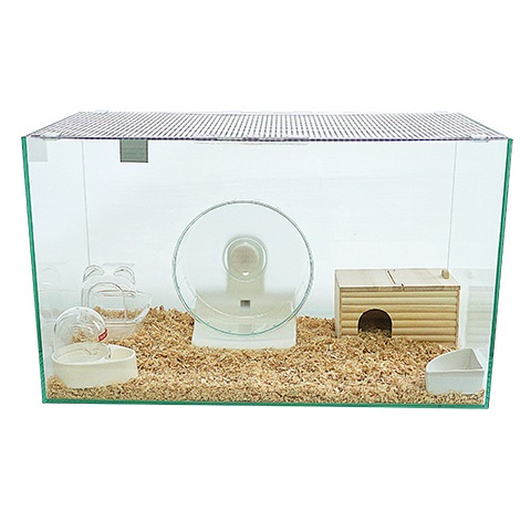 600ハムスターHIGH ゴールデンハムスター飼育セットII【B：ドーム