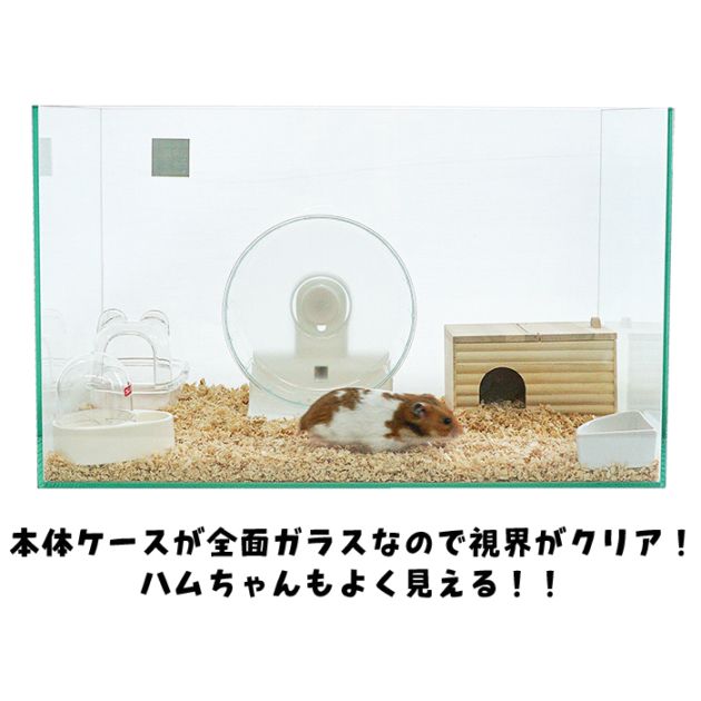 ハムスター飼育セット Amazon | Gifty 二階 建て ハムスター ケージ 60 大きい コールデン