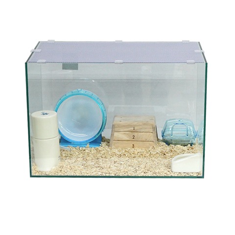 ⭐︎ジャンガリアンさん専用⭐︎ ⭐︎ジャンガリアンさん専用⭐︎ ZX (@zx_hamster) / X