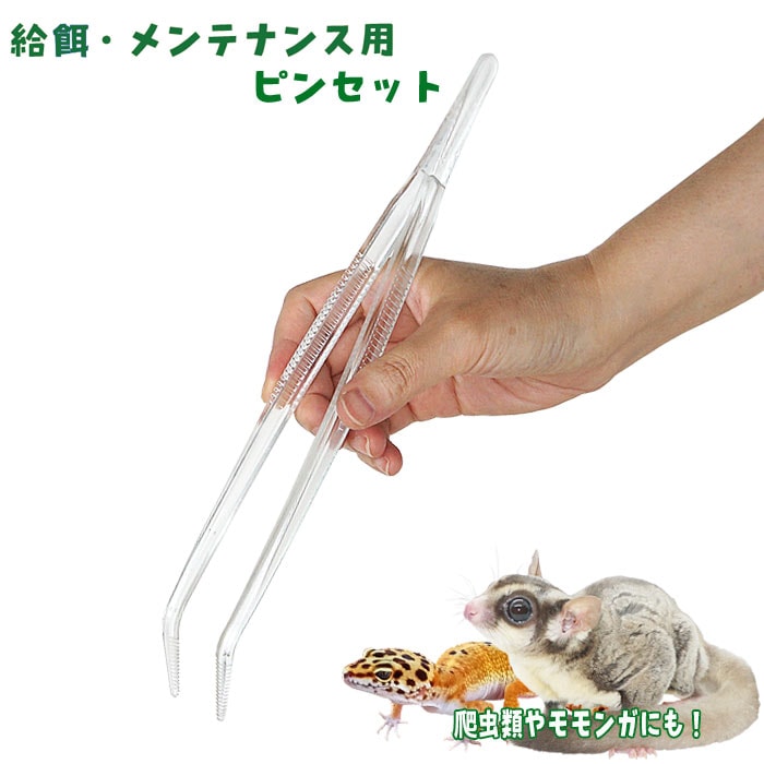 J.REP クリアピンセット/餌 エサ 虫 爬虫類 モモンガ ハリネズミ