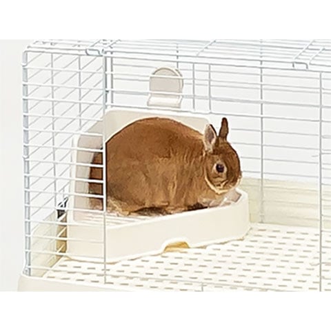 ��28��ǯ��������ۤ��ʤ�߲��ȥ��컰�� iv/������ ���Υ��դ� ���󥳡� SANKO WILD ��������