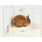 28ǯۤʤ߲ȥ컰 iv/ Υդ 󥳡 SANKO WILD 