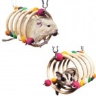 �쥤��ܡ� ���뤯��ȥ�ͥ�S/������� ͷ�Ӿ� ��������å� �饿�� ŷ���� ���� Rainbow