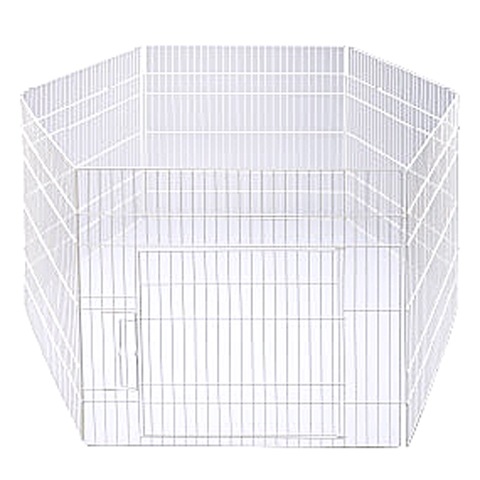 Ӥ ӥåȥ磻/ưʪѥ ͷӾ ȤΩ Ω ȥ쥹  å GEX