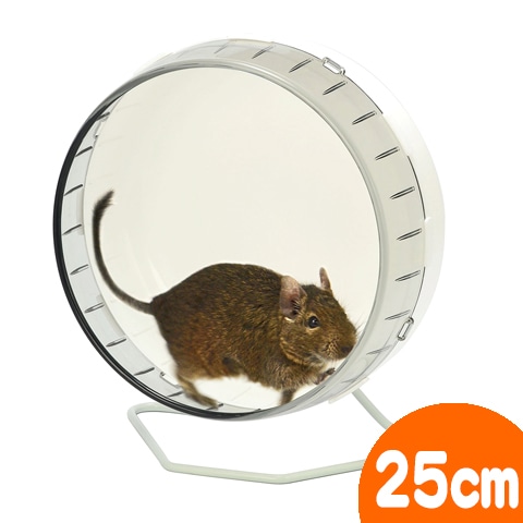 �������ȥۥ����� �ե�å�25/�󤷼� ���� ��ư �٥���� �Ų� ���ޥꥹ �ǥ��� �ϥ�ͥ��� �������� SANKO