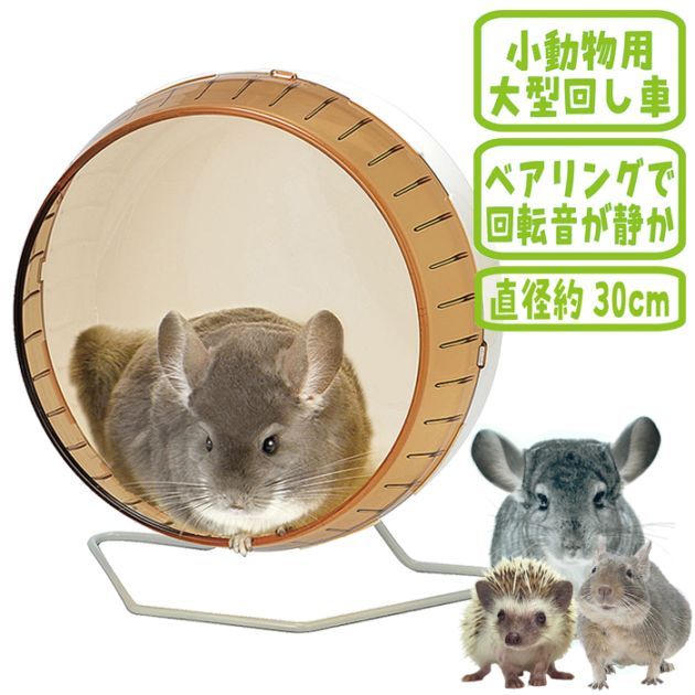 ミケ様　商談中！シューズ5足　一輪車　室内　競技用　20インチ 楽天市場】一輪車 子供用 大人用 競技用 20インチ スポーツ