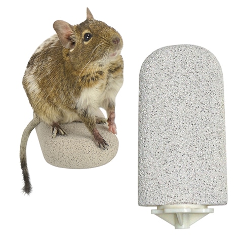 爪とぎステップ/足場 ステージ 軽石 デグー リス モモンガ 小鳥