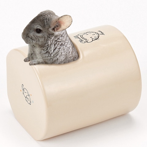 CASA κӤǤϥ/  ƫ Ҥ ޥ륫 MARUKAN PRO STYLE CASA