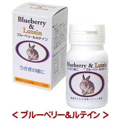 専用　ブルーベリーうさ 0000000033222_D6xJskC.jpg
