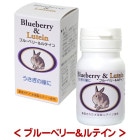 �֥롼�٥꡼����ƥ���/���ץ���� ������� ����ȥ����˥��� ���� ��� ������ ������ ���ܥӡ�����