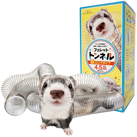 NC �ե���åȥȥ�ͥ�(Ķ���󥰥�����4.5��)/������� ���塼�� ����Х� Ʃ�� �դ���ä�