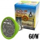 ���ֳ�����Ǯ�ҡ����� �����ܥ�ڥåȥҡ�����60W/��ưʪ �ݲ� ��˼ �����к� �ɴ� �ӥХꥢ Vivaria