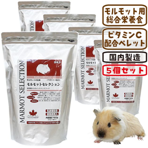 ��29��ǯ��������ۥ���åȥ��쥯�����750g��5�ĥ��åȡ�1�Ĥ�����1270�ߡ�/�ա��� �ڥ�å� ���� �ӥ��ߥ�C ������ �����ꥯ�� SERECTION