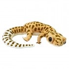 �ҥ祦���ȥ�����ɥ�/HYOUMONTOKAGEMODOKI �̤������ �̥������ ����� TST