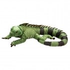 ��������/IGUANA �̤������ �̥������ ����� TST