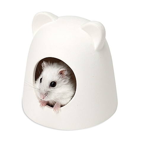 ひんやりセラミックハウス 耳付きハウス ひんやり クール 寝床 ハムスター ジャンガリアン ゴールデン マルカン Marukan 通販 Petyasan Com Heaven