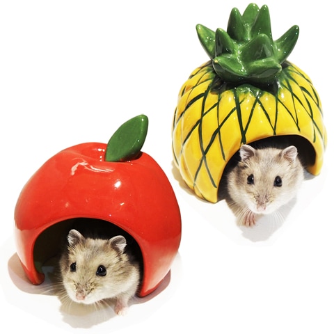 28周年セール中】レインボー ジャンガリアンのカラフルドーム/ハウス