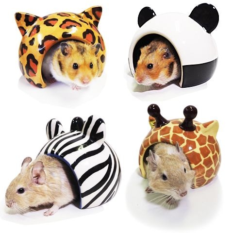 ��28��ǯ��������ۥ쥤��ܡ� ��ưʪ�Υ��˥ޥ�ɡ���/�ϥ��� ���� ����� ƫ�� ������ǥ�ϥॹ���� �ǥ��� Rainbow