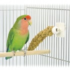 ��Ļ�Υߥ�åȥ���å�/������ ���������� ���� �ե���� ���󥳡� SANKO ��������