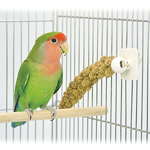 小鳥のミレットクリップ/粟の穂 ケージ固定 インコ フィンチ サンコー