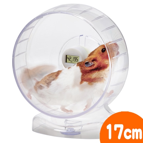 クリーンホイール ランニングメーター17 回し車 車輪 ハムスター マルカン Marukan 通販 Petyasan Com Heaven クリーンホイール ランニングメーター17 回し車 車輪 ハムスター マルカン Marukan 通販 Petyasan Com Heaven