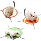 �ڿ��̸��ꥻ����ۥ쥤��ܡ� �ޤ�ޤ�ե롼�ĥϥ��å�/�ϥ��� ���� �٥å� �� ���� �ǥ��� Rainbow