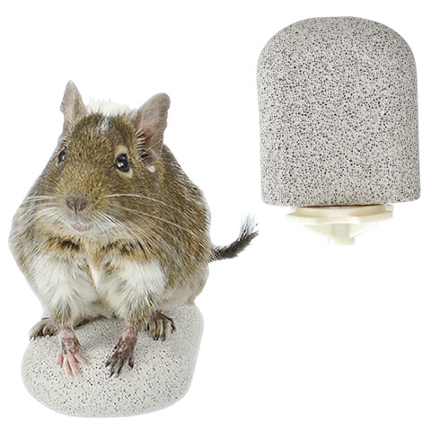 �ޤȤ����ƥå� ���硼��/­�� ���ơ��� ���� �ǥ��� ���� SANKO ��������