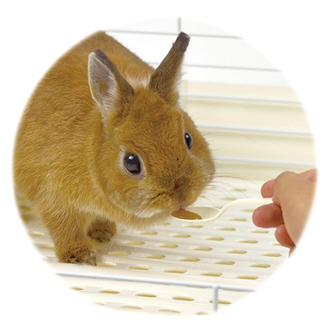 ラビット エンハンサーバイト/サプリ 栄養補助 うさぎ