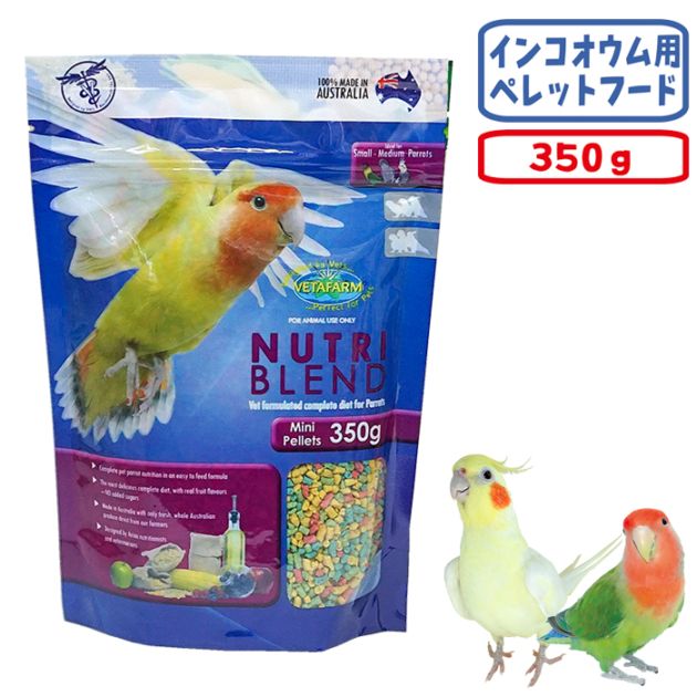 �˥塼�ȥ�֥��ɥڥ�å�(�ߥ�)/�ա��� ���� �翩 �ڥ�å� ������ܿ� ���� ������ �٥��ե�����
